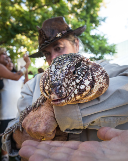 Zookeeper holding reptile